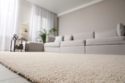 Plush Carpet in Living Room